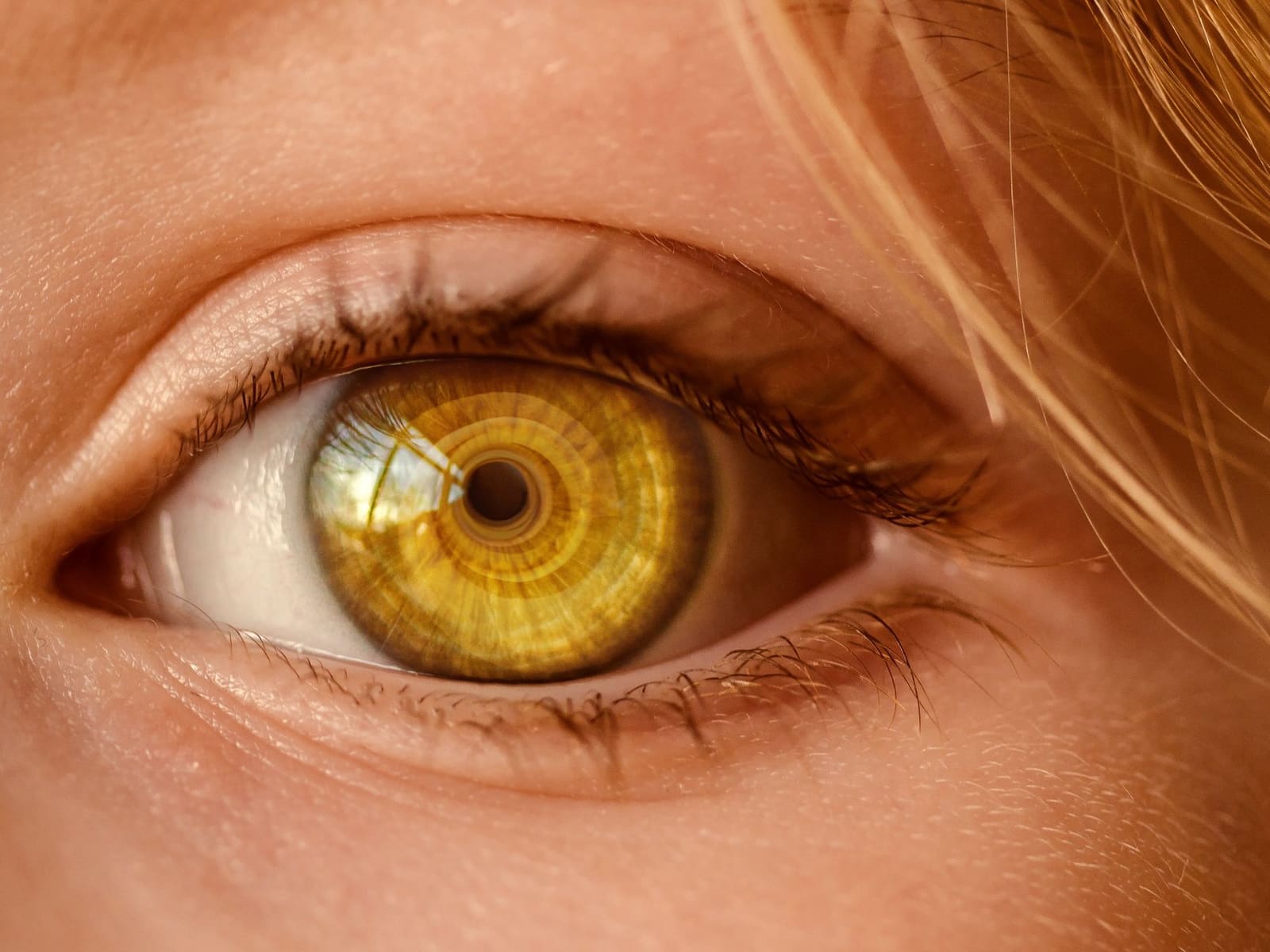 Close-up of a healthy eye with an amber iris